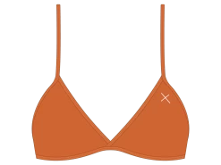 Burnt Orange Fitted Top II