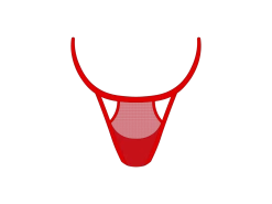 Red Mesh Peep Thong Panty