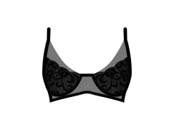 Black Trim Lace Bra